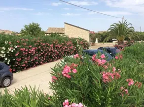 Masseria Sant'Elia - Image 2