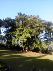 Shotover Gardens Estate - Image 4
