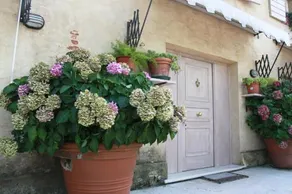 Guest House La Marignana - Image 3