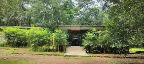 Tree Paradise Resort - Image 5