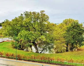 Balcony View Apartment- Sleeps 5 & Private Parking - Image 3