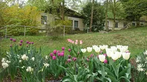 Gastehaus Chorin - Image 3