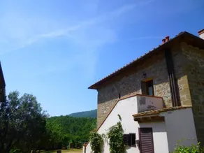 Canaiolo - Image 2