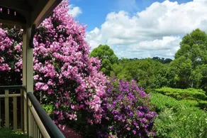 Nirvana at Montville - Image 4