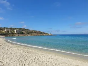 Le Bois De Caprascorsa - Image 3