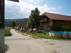 Reitbauernhof Ferner - Image 2