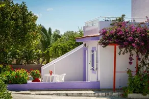 Dk House - Image 2
