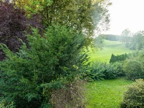 Quiet Chalet in Kaumberg near Vienna with Garden - Image 4