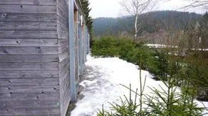 "Ferienhaus 5" Meyersgrund im Thüringer Wald - Image 5