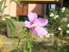 Agriturismo La Nocciolina - Image 3