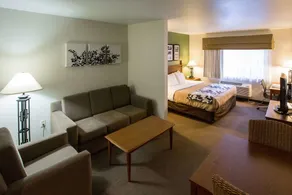 Sleep Inn & Suites Conference Center - Image 2