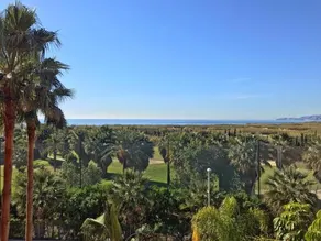 Sunny Apartment Tropical Coast Granada. Calle Rector Pascual Rivas Carrera - Image 4