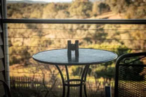The views!Lovely apartment on acreage with magnificent views - Image 5