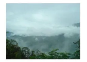 Mountain Facing Rooms in Shimla - Image 5