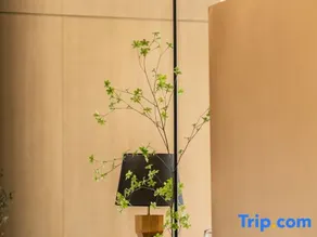 Youfan Hotel (Bobai Dinghua Plaza) - Image 2