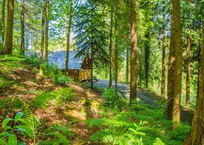 Bulworthy Forest Lodges - Image 2