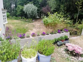 Robinhill Garden - Image 3