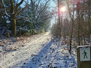 B&B 't Heirweggoed - Image 3