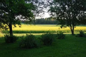 Vastergard Bed & Breakfast - Image 4