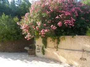 Jour AprÉs Jour Au Mas D'alzas - Image 5
