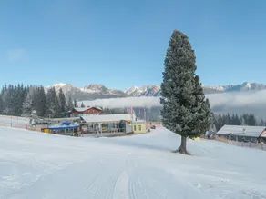 Cozy Chalet in Weißpriach with Terrace - Image 2