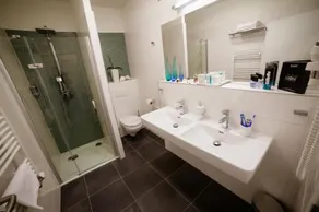 Hotel Spa Resort Lednice - Image 4