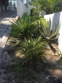 Xsoma Villa - Image 3