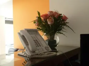 My Rouse Hotel - Image 5