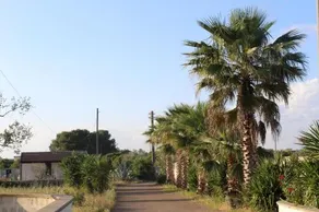 Il Giardino Di Alba - Image 3