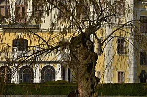 Penzion Pri Kastieli Betliar - Image 2
