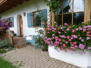 Suzanne´s Bed & Breakfast - Image 4
