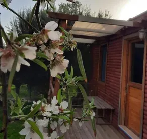Eytay Tatil Köyü - Image 2