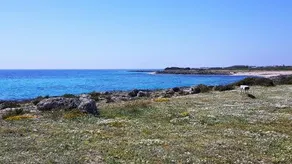 Punta Prosciutto GMA Tourism - Image 5