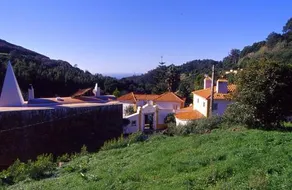 Quinta do Rio Touro - Image 5