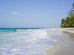 Turtle Beach by Elegant Hotels - Image 2