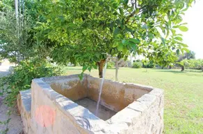 Casa Saracino - Image 3