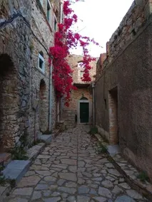 Traditional Rooms Hostel - Image 4