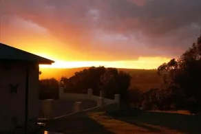 Eden Park Views - Image 4