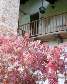 B&B Al Rudun - Image 5
