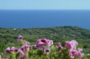 Villa Russo - Image 4