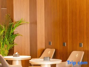 Qiuduo Hotel (Beijing Capital International Airport T2 Terminal Nanfaxin Subway Station) - Image 3