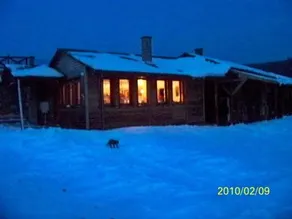 Kelemen Majorság - Image 4