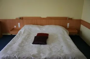 Botra - Image 2