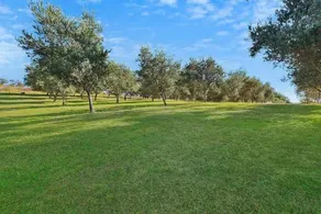 Howes Valley Hideaway - Edge of the Wild - Image 3