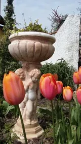 Villa Anna Chiusanico - Image 5