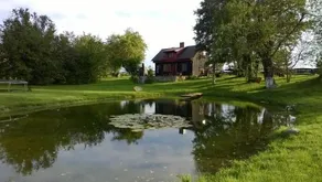 House in nature - Image 2