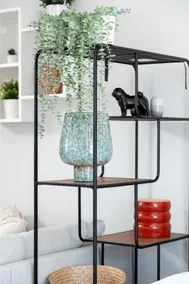 Notting Hill Apartments Collection - Image 4