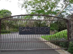 Luxury Pacifico L803 - Image 4