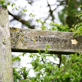 Meadowbank House Bed and Breakfast - Image 4