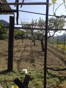 Il Gelsomino B&B - Image 3